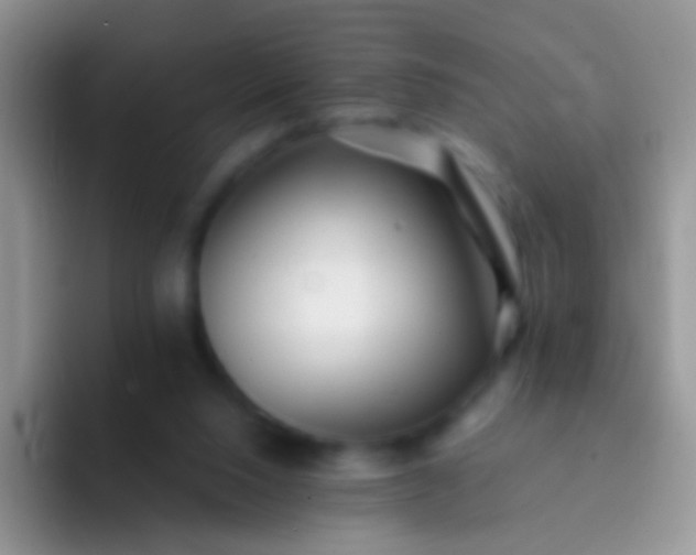 X0000092080064200709262112