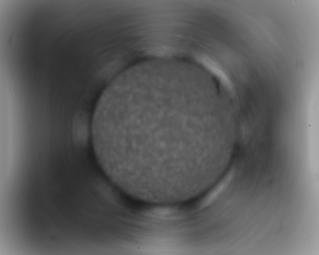 X0000092080065200709262112