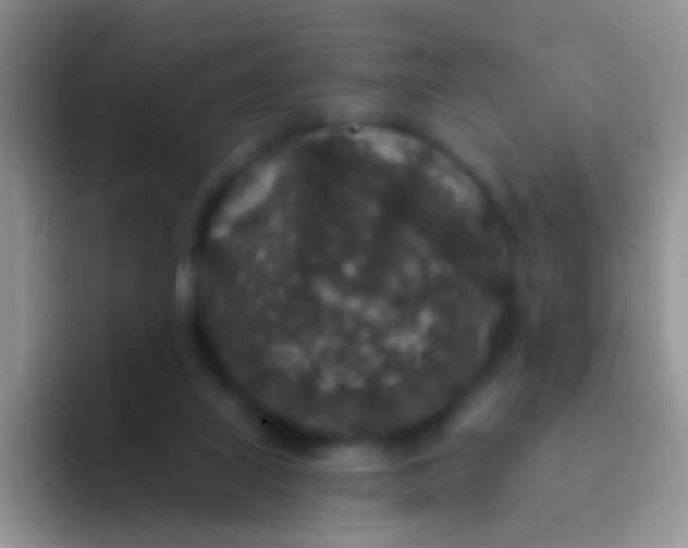 X0000092080067200709262112