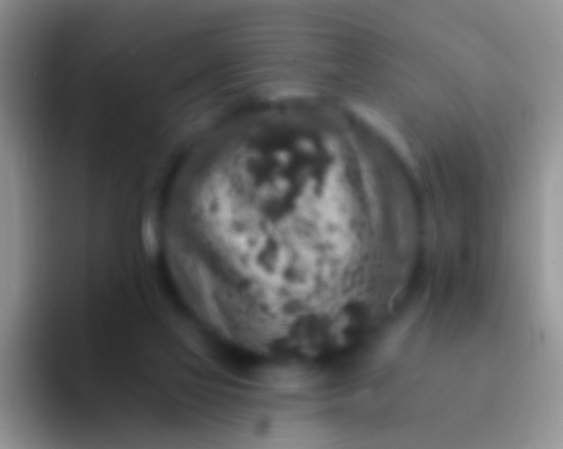 X0000092080069200709262112