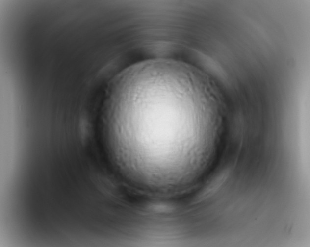 X0000092080073200709262112