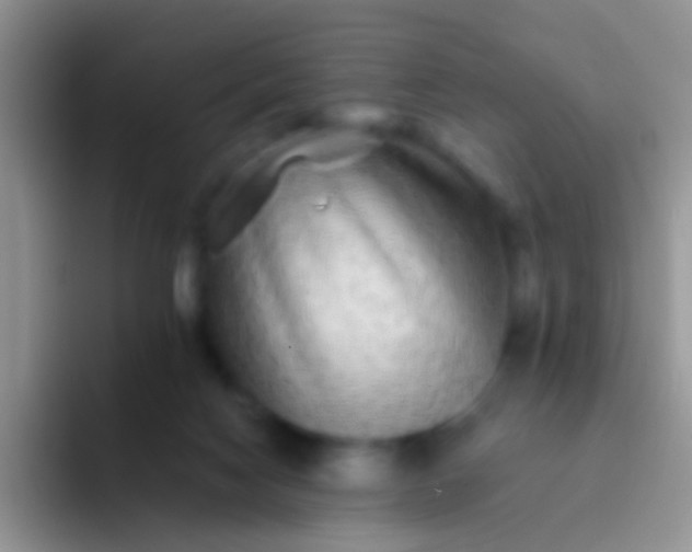 X0000092080074200709262112