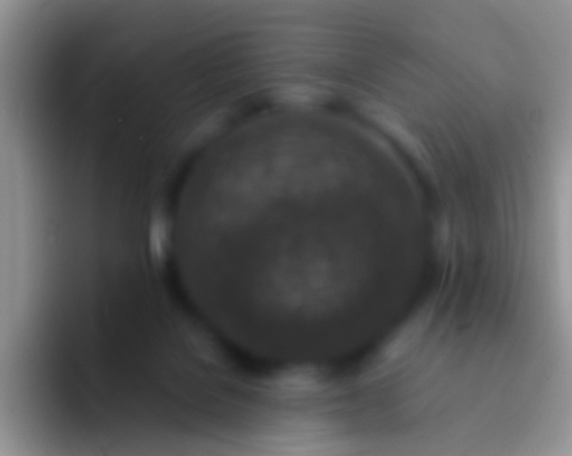 X0000092080076200709262112