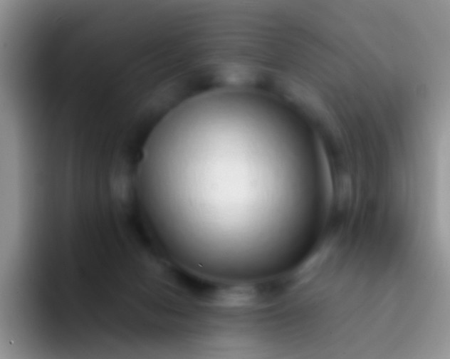 X0000092080078200709262112