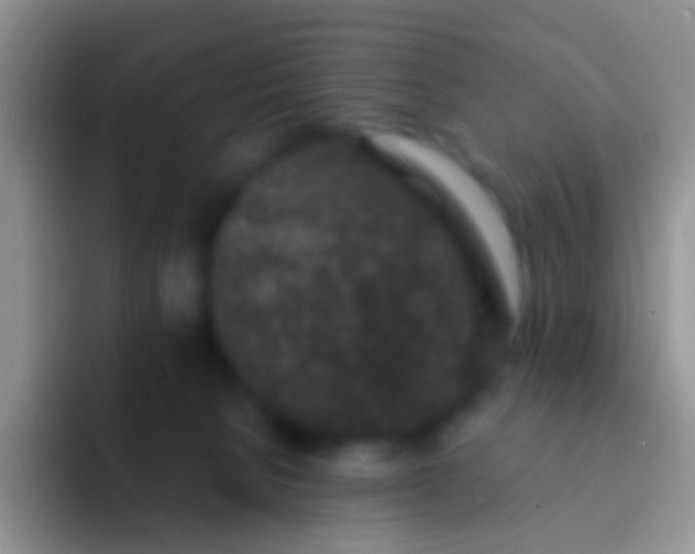 X0000092080080200709262112