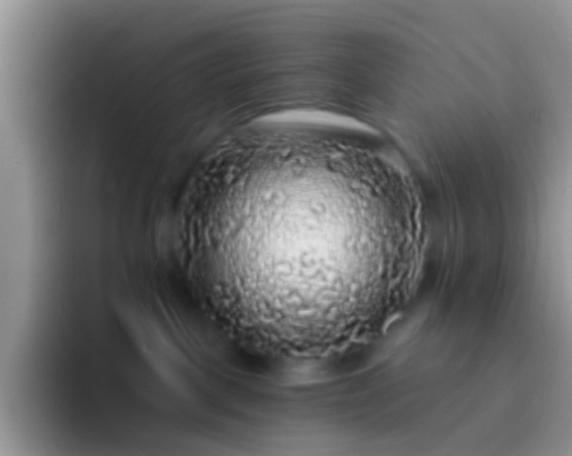 X0000092080093200709262112