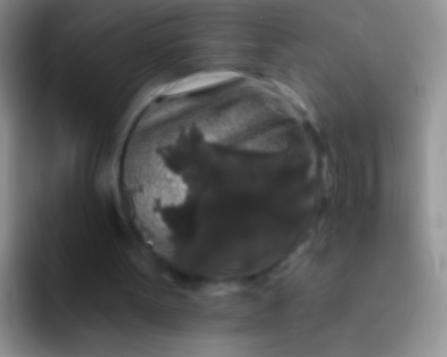 X0000092080099200709262112