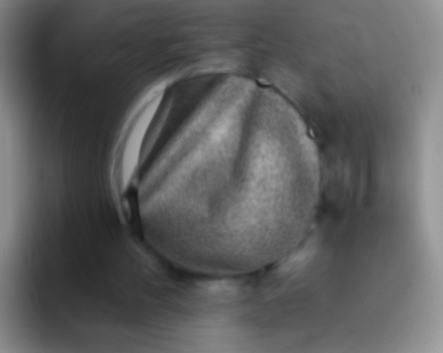 X0000092080100200709262112