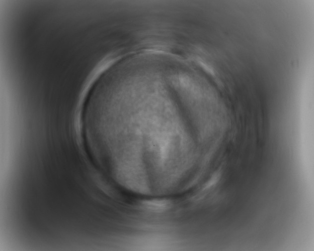 X0000092080102200709262112