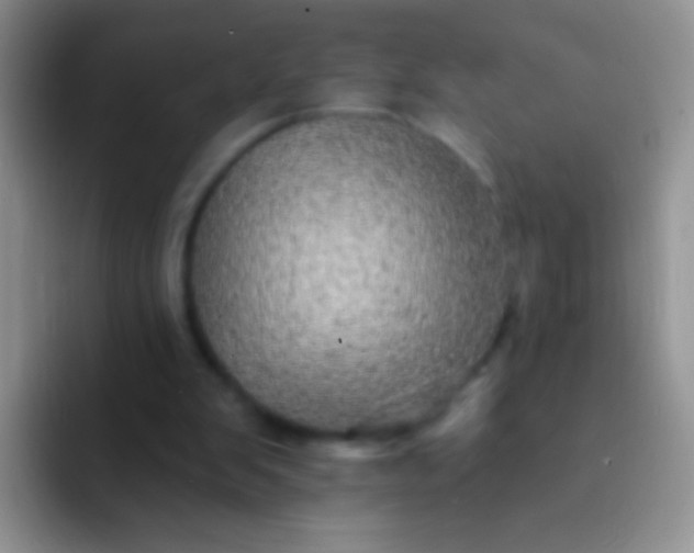 X0000092080103200709262112