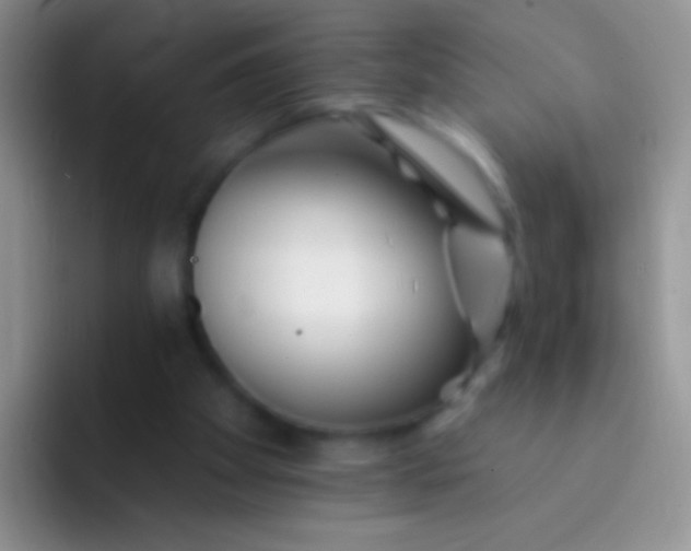 X0000092080105200709262112