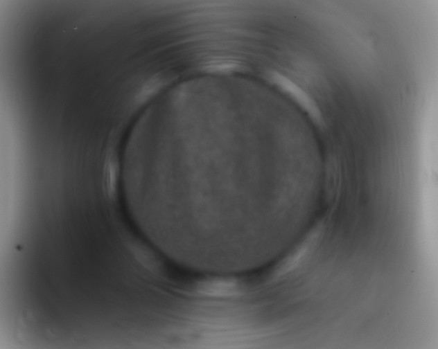 X0000092080110200709262112