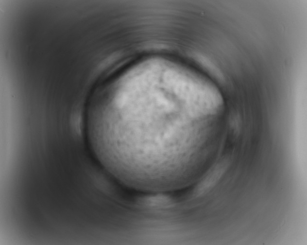 X0000092080112200709262112