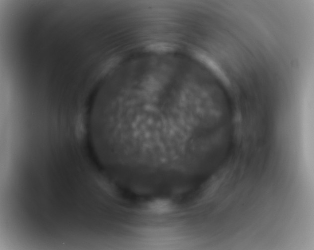 X0000092080114200709262112