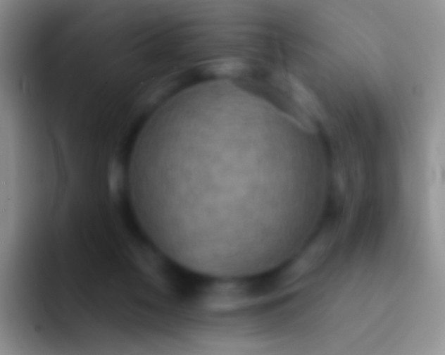 X0000092080117200709262112