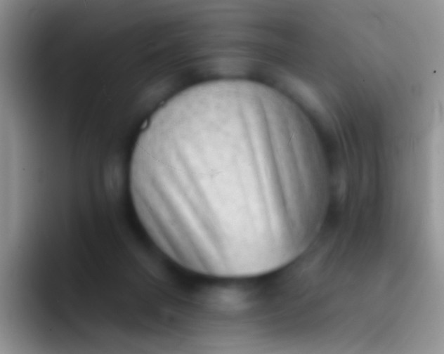 X0000092080120200709262112