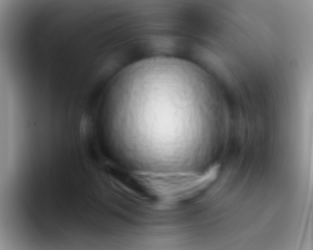 X0000092080123200709262111