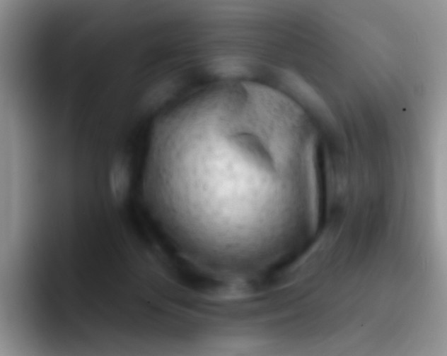 X0000092080124200709262111