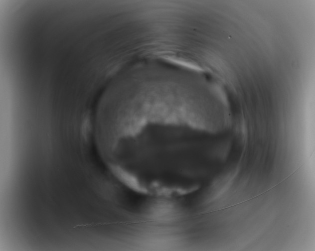 X0000092080127200709262111