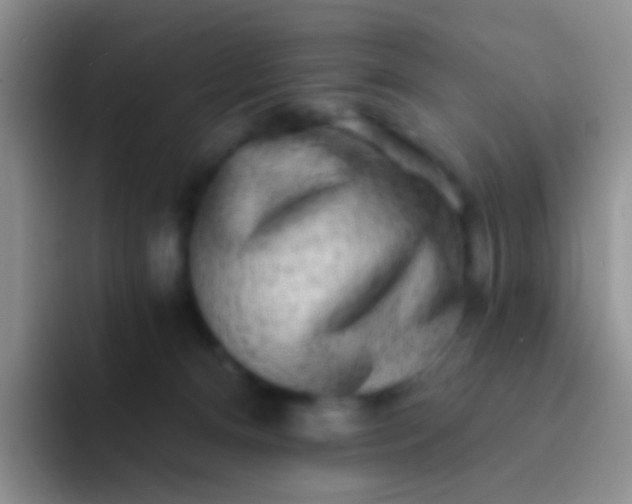 X0000092080128200709262111