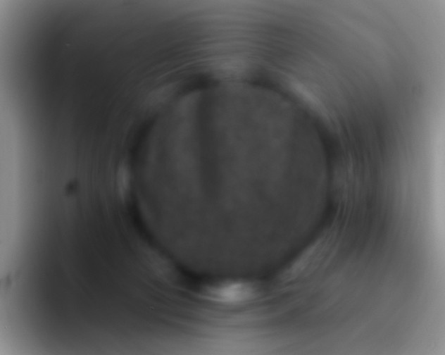 X0000092080130200709262111