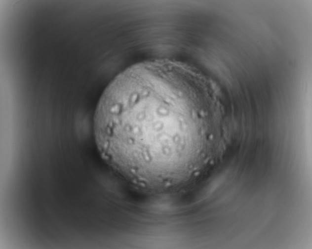 X0000092080131200709262111