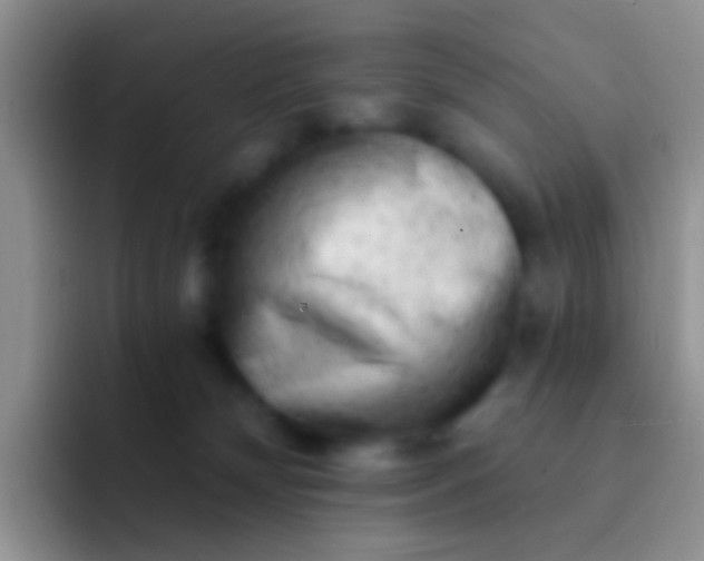 X0000092080132200709262111