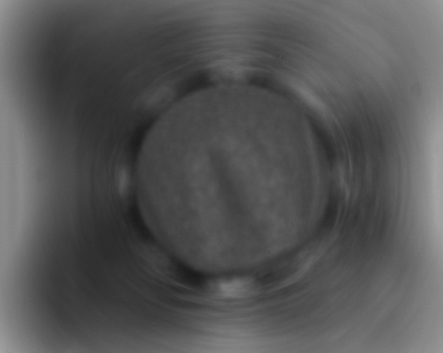 X0000092080134200709262111