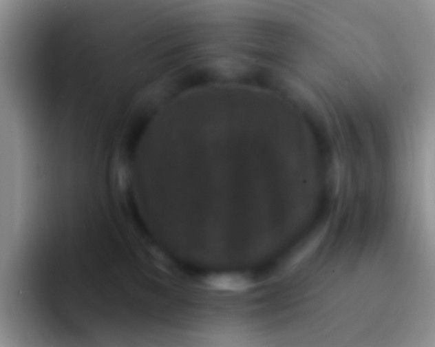 X0000092080137200709262111