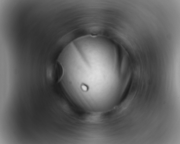 X0000092080138200709262111