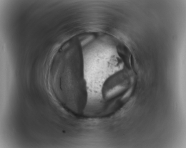 X0000092080145200709262110