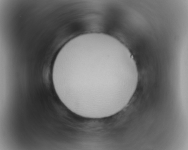 X0000092080146200709262111