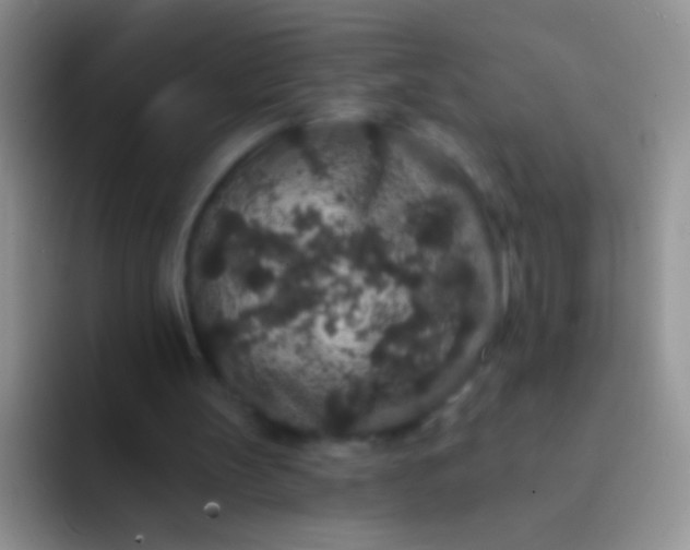 X0000092080147200709262111