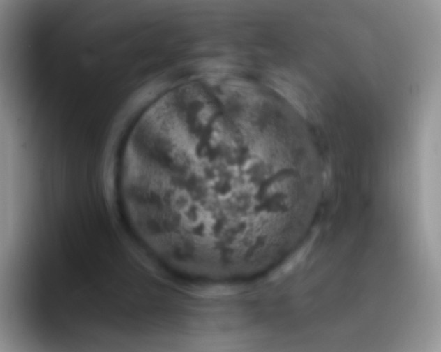 X0000092080149200709262111