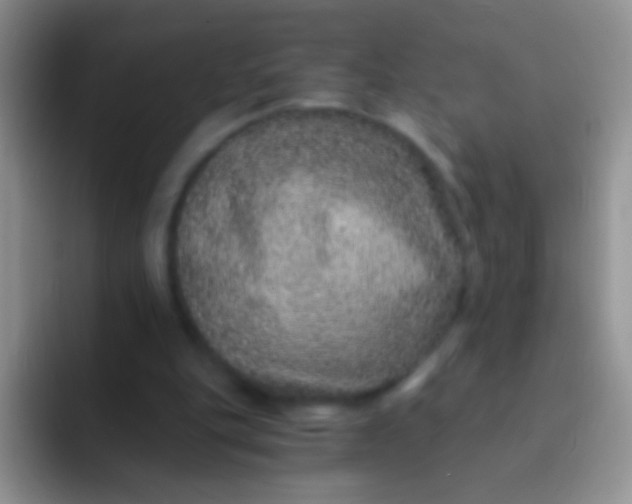 X0000092080151200709262111