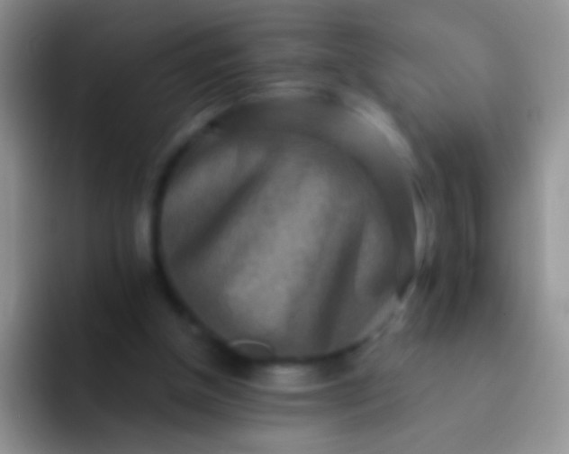 X0000092080154200709262111