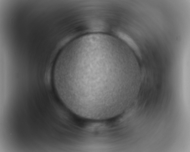 X0000092080155200709262111