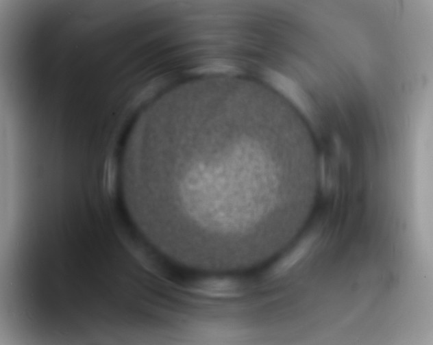 X0000092080157200709262111