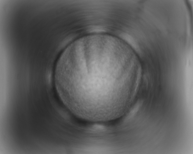 X0000092080159200709262111