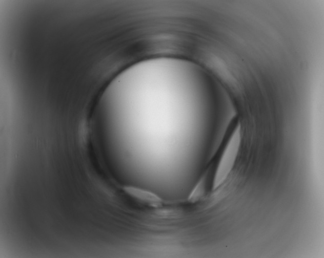 X0000092080160200709262111