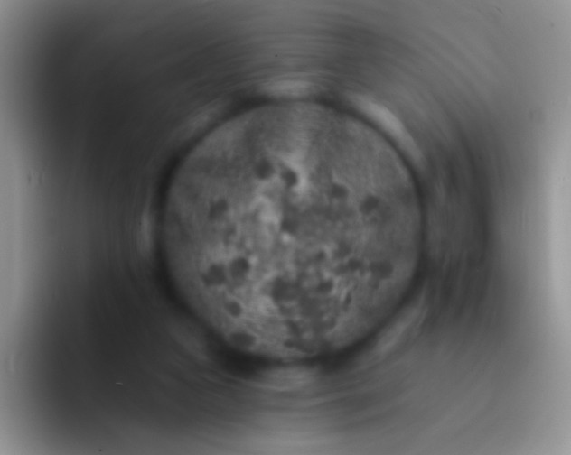 X0000092080161200709262111