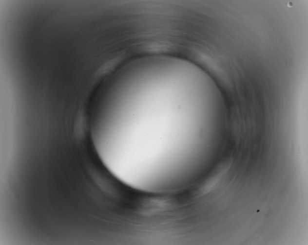 X0000092080164200709262111