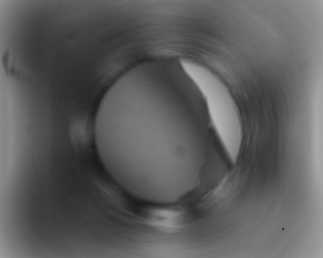 X0000092080168200709262111