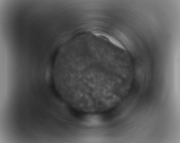 X0000092080169200709262111