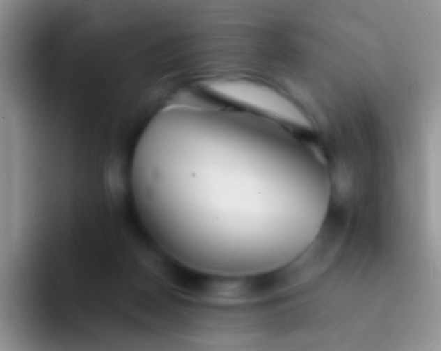 X0000092080170200709262111