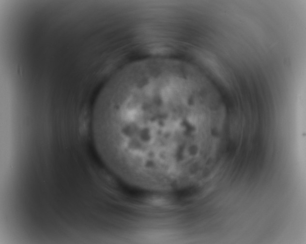 X0000092080175200709262111