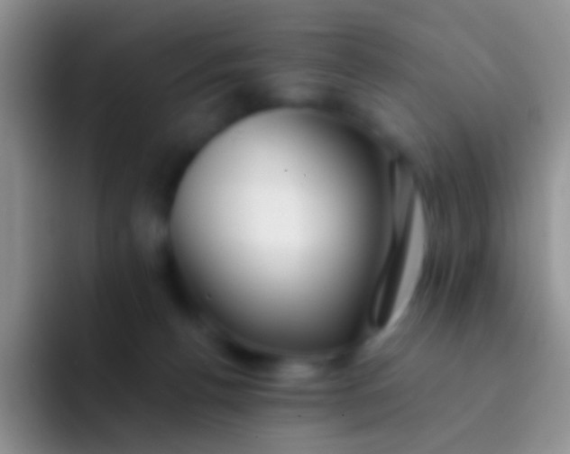 X0000092080176200709262111