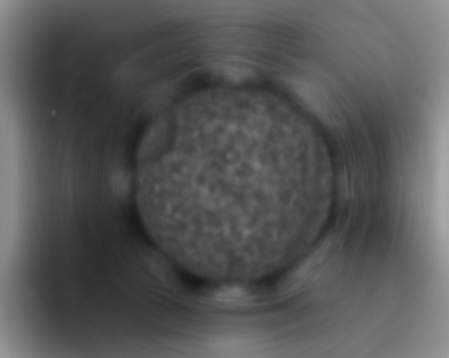 X0000092080177200709262111