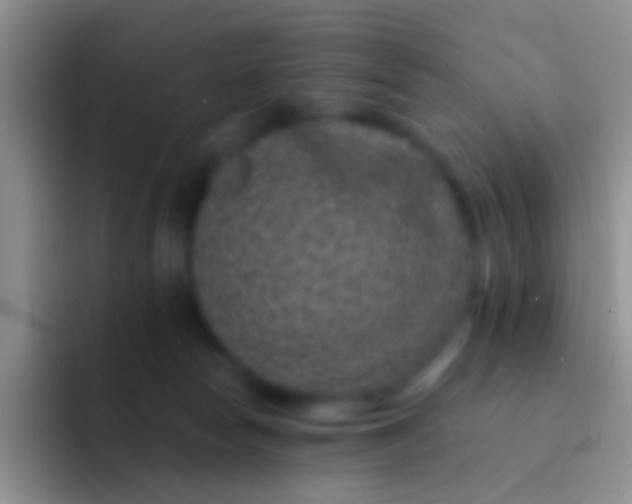 X0000092080178200709262111