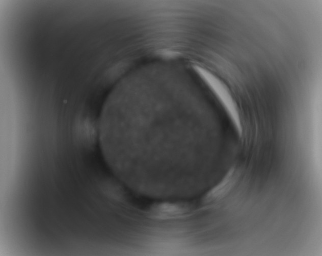 X0000092080180200709262111